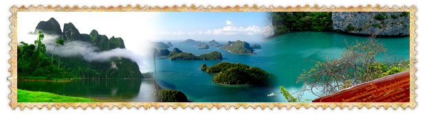 แพทะเล 500ไร่ เขื่อนเชี่ยวหลาน เกาะสมุย หมู่เกาะอ่างทอง จ.สุราษฎร์ธานี แพทะเล 500ไร่ เขื่อนเชี่ยวหลาน เกาะสมุย หมู่เกาะอ่างทอง จ.สุราษฎร์ธานี